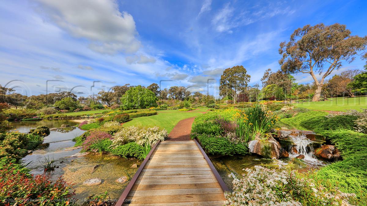 Peter Bellingham Photography Japanese Garden - Cowra
